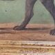 Dog painting
