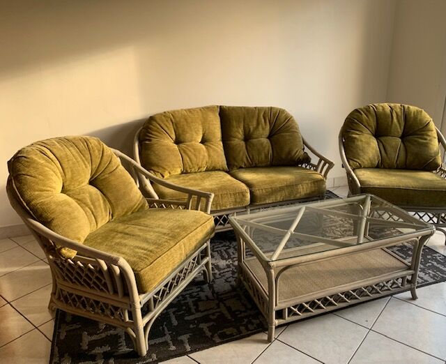 Rattan and velvet salon