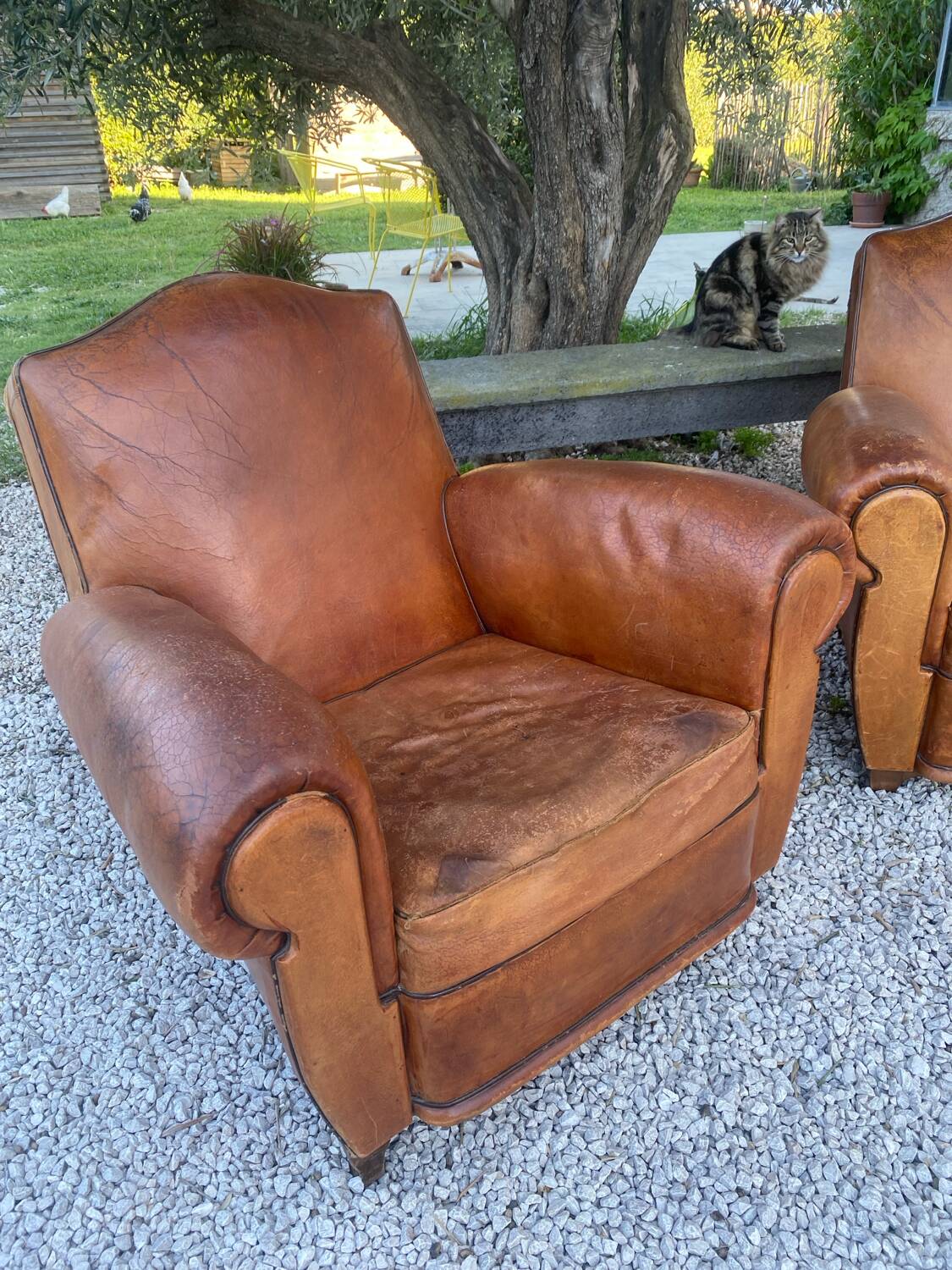 Pair of club armchairs