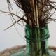 Glass and wicker demijohn