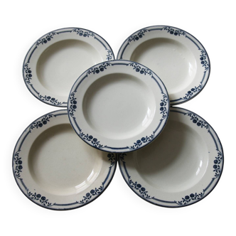 5 deep plates Salins Terre de Fer AB model Saussure