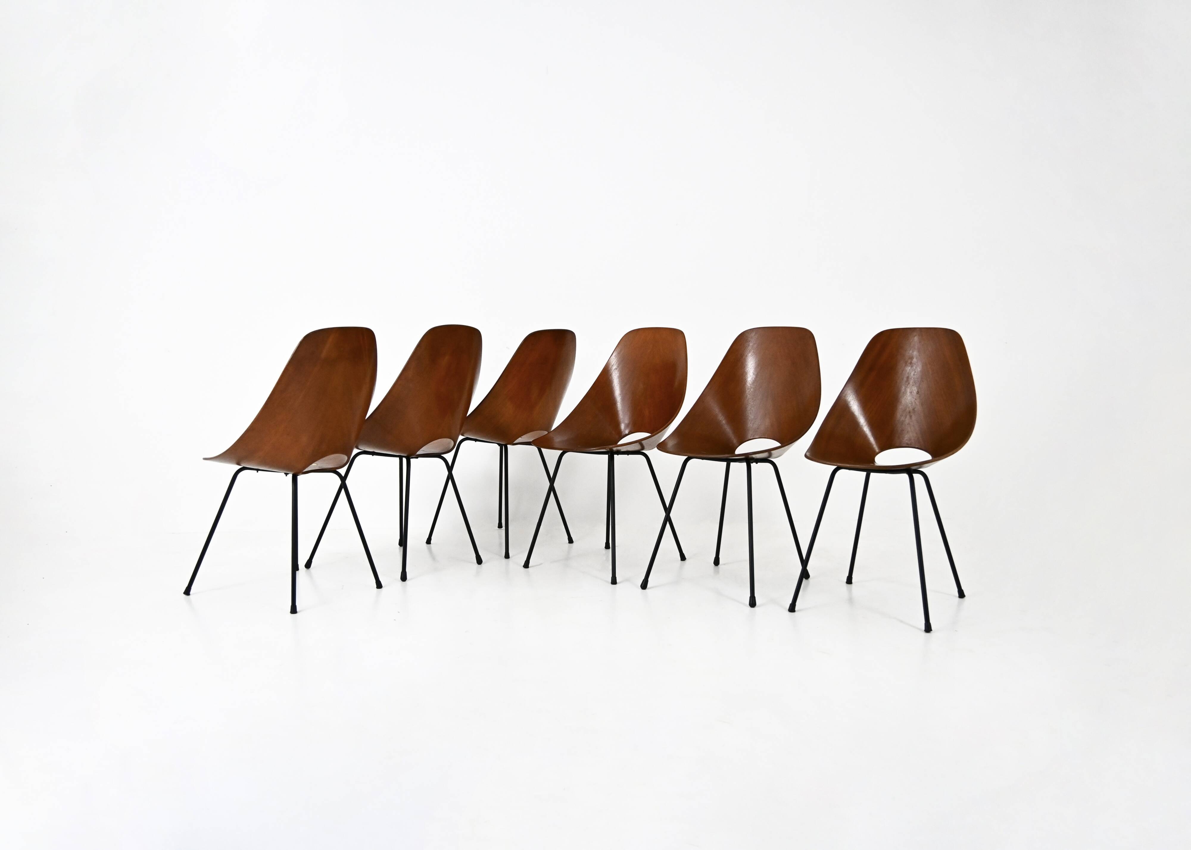 Set of 6 “Medea” Chairs by Vittorio Nobili for Frattelli Tagliabue, 19