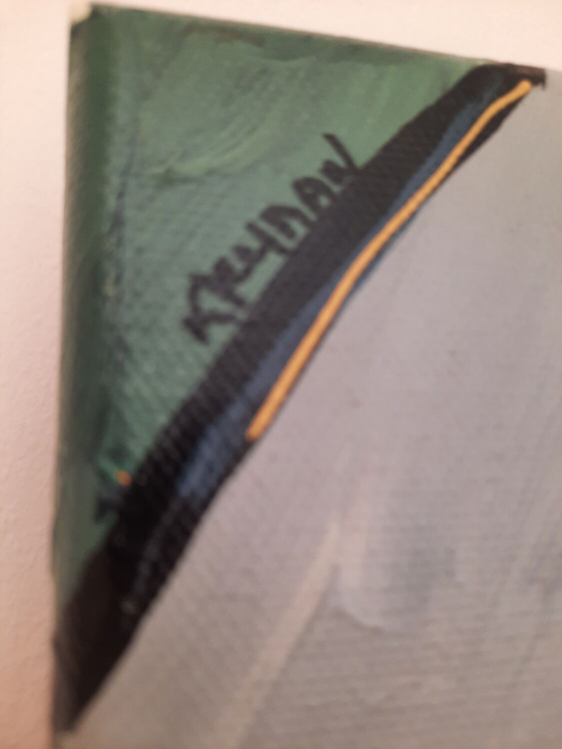 Painting Patricia Kleyman