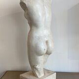 Bust in platre Atelier du Louvre