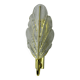 Frosted leaf wall lamp, murano glass, italy, 1970