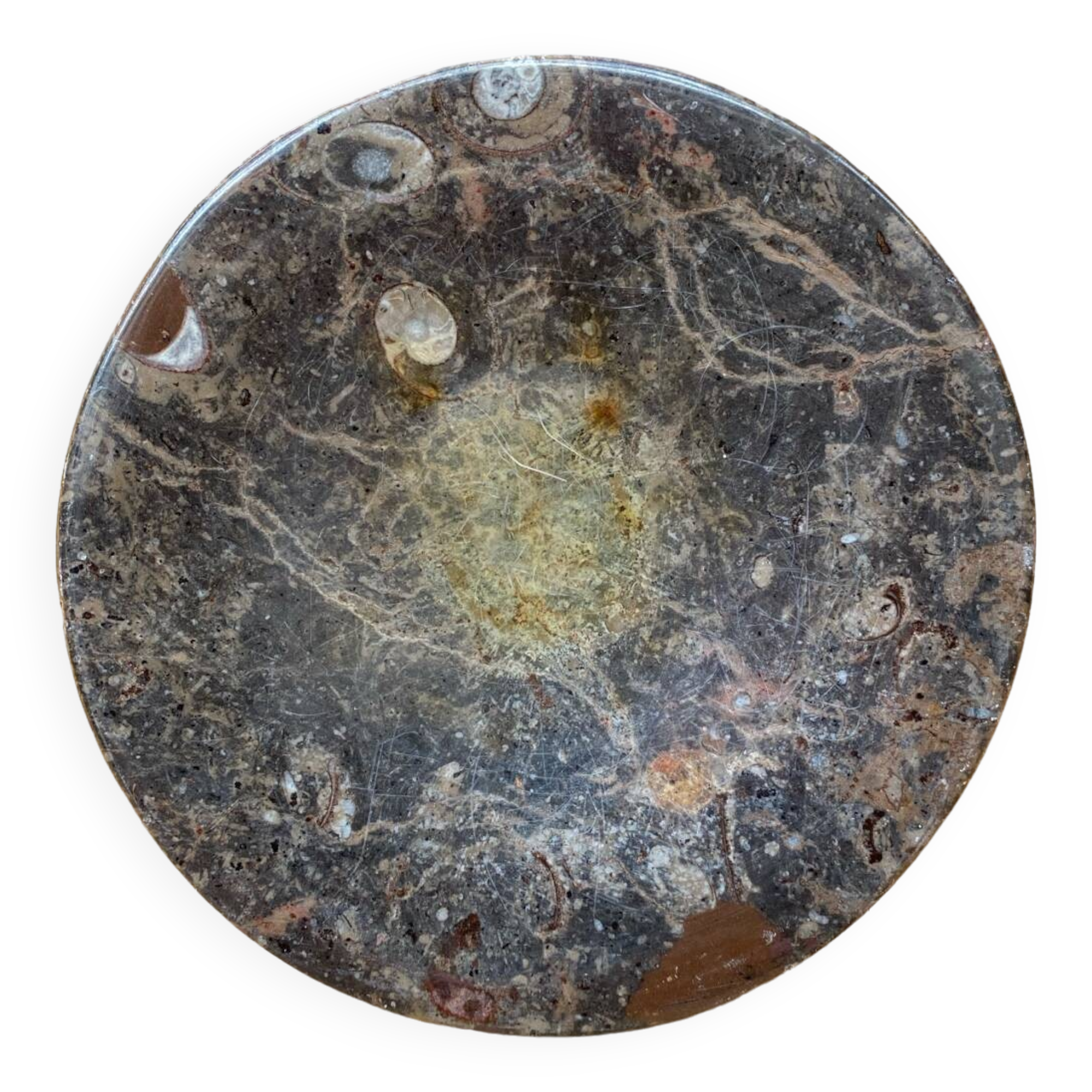 Antique Vintage Fossilized Marble Plate Tray