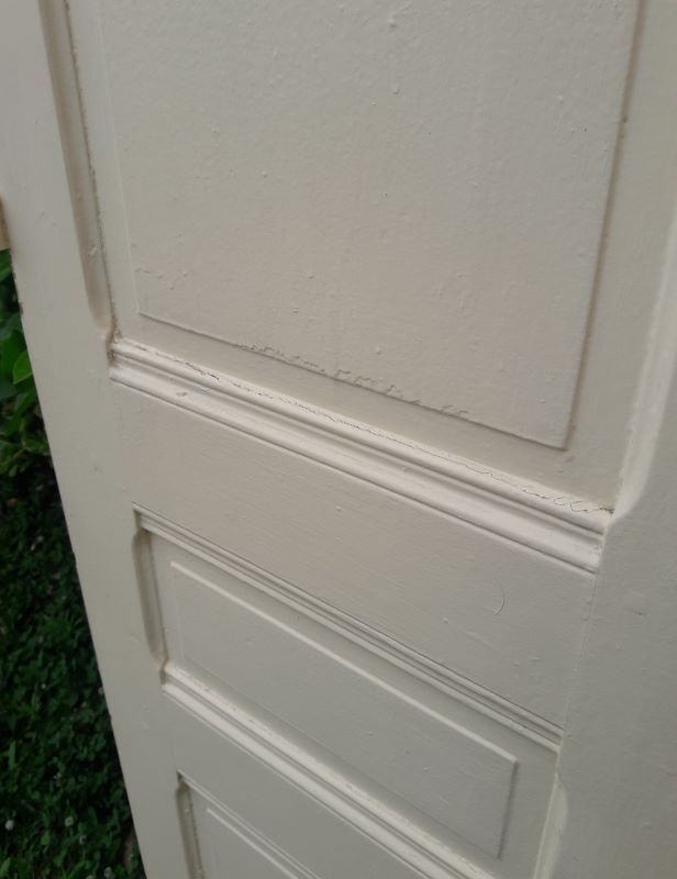 Pair of doors of antique closet
