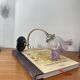 Swan neck wall light in brass with glass tulip.