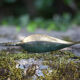 Cendrier laiton, poisson scie
