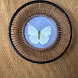 Butterfly frame