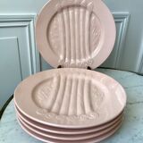 Set of 5 villeroy & boch pink asparagus plates in 50-60s