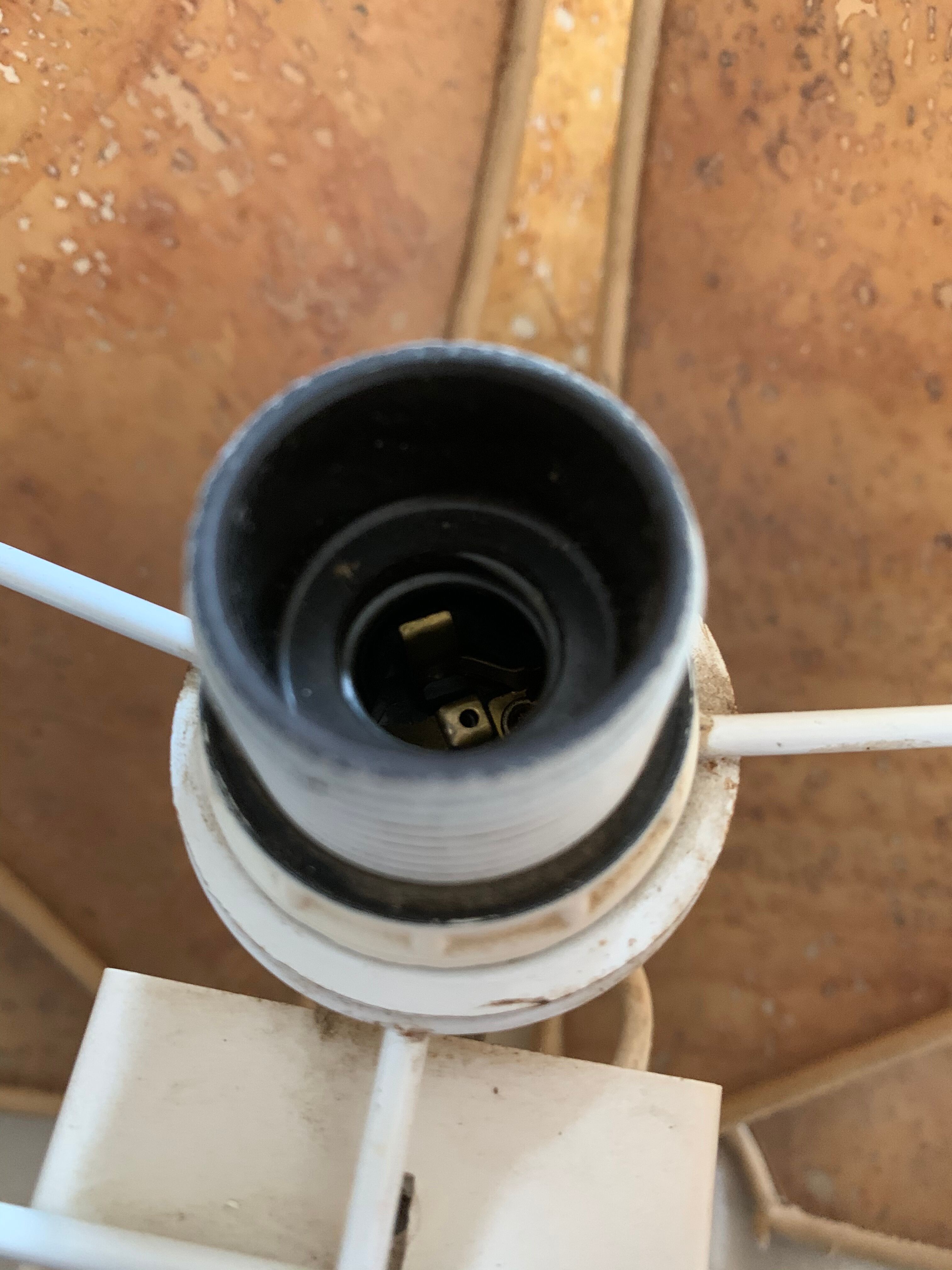 Vintage lotus sconce