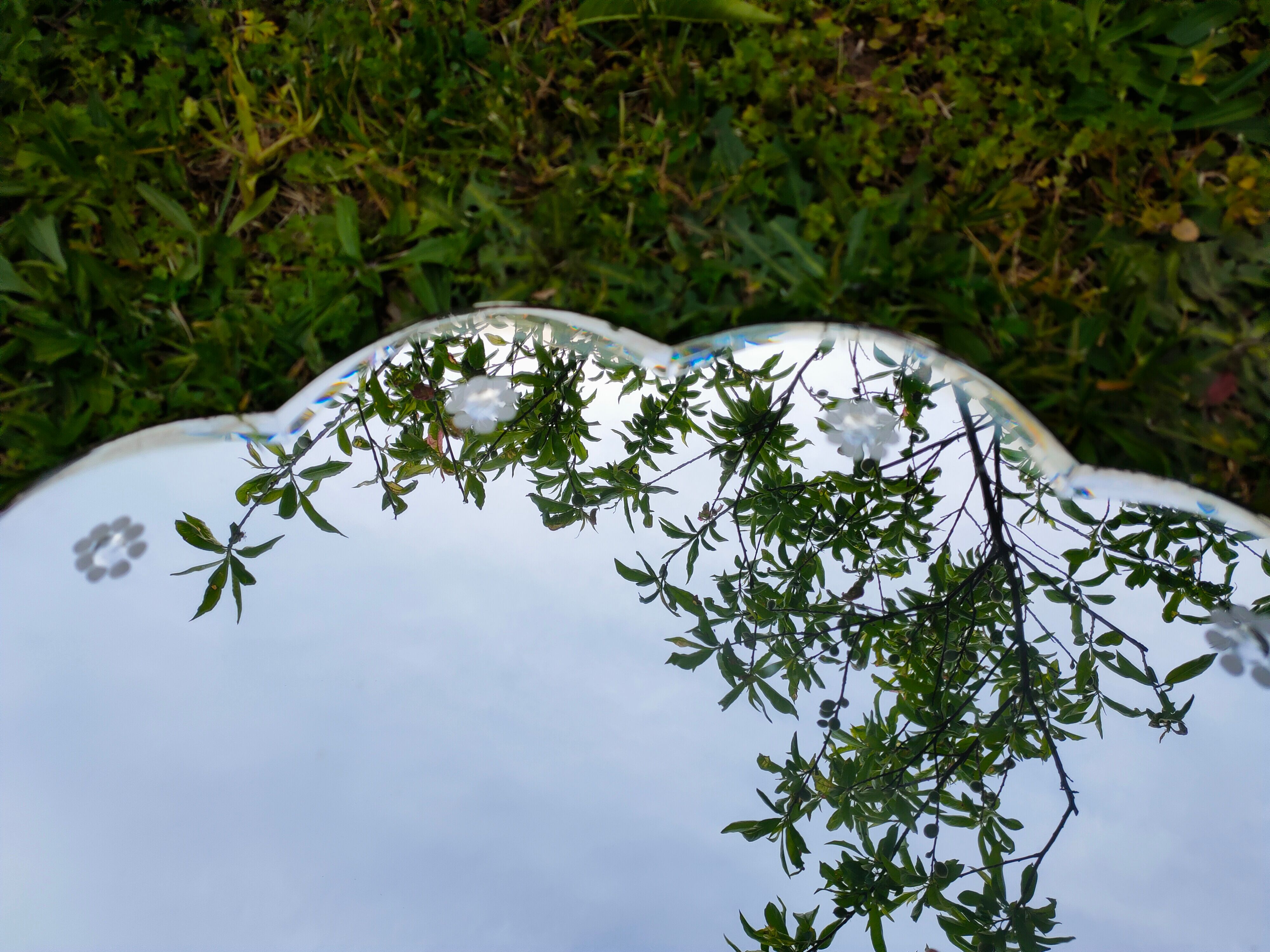 Miroir biseauté en forme de fleur années 50/60 59cm