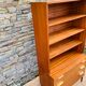 Convenient furniture with bookcase