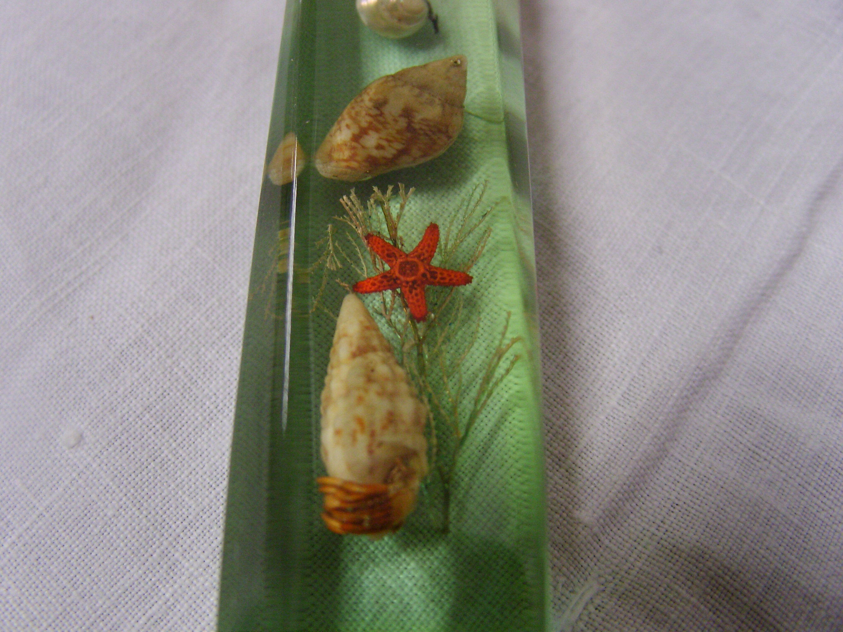 6 knife-wielding vintage insect inclusion