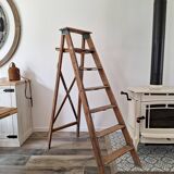 Montana painter's stepladder
