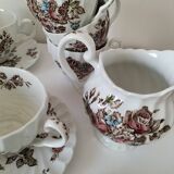 Vintage Johnson Brothers “Devon Sprays” Set