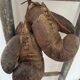 Ancienne paire de gants de boxe en cuir