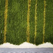Tapis en laine artisanal 250cmx150cm