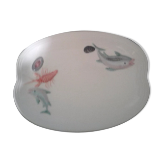 Original crustacean or fish dish in relief