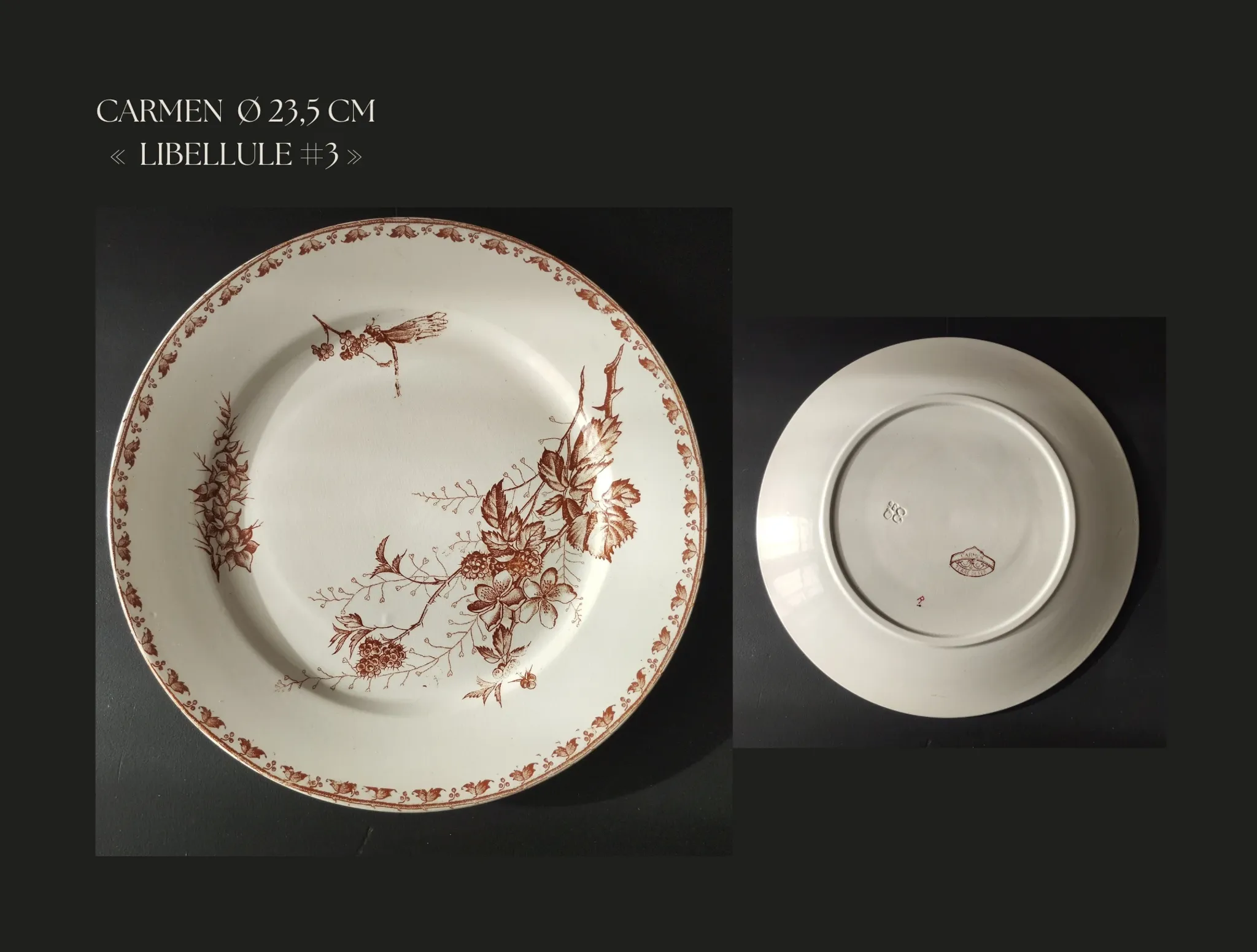7 flat plates in earthenware from Sarreguemines U&C "Carmen"