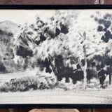 Charcoal on paper by Granados Llimona