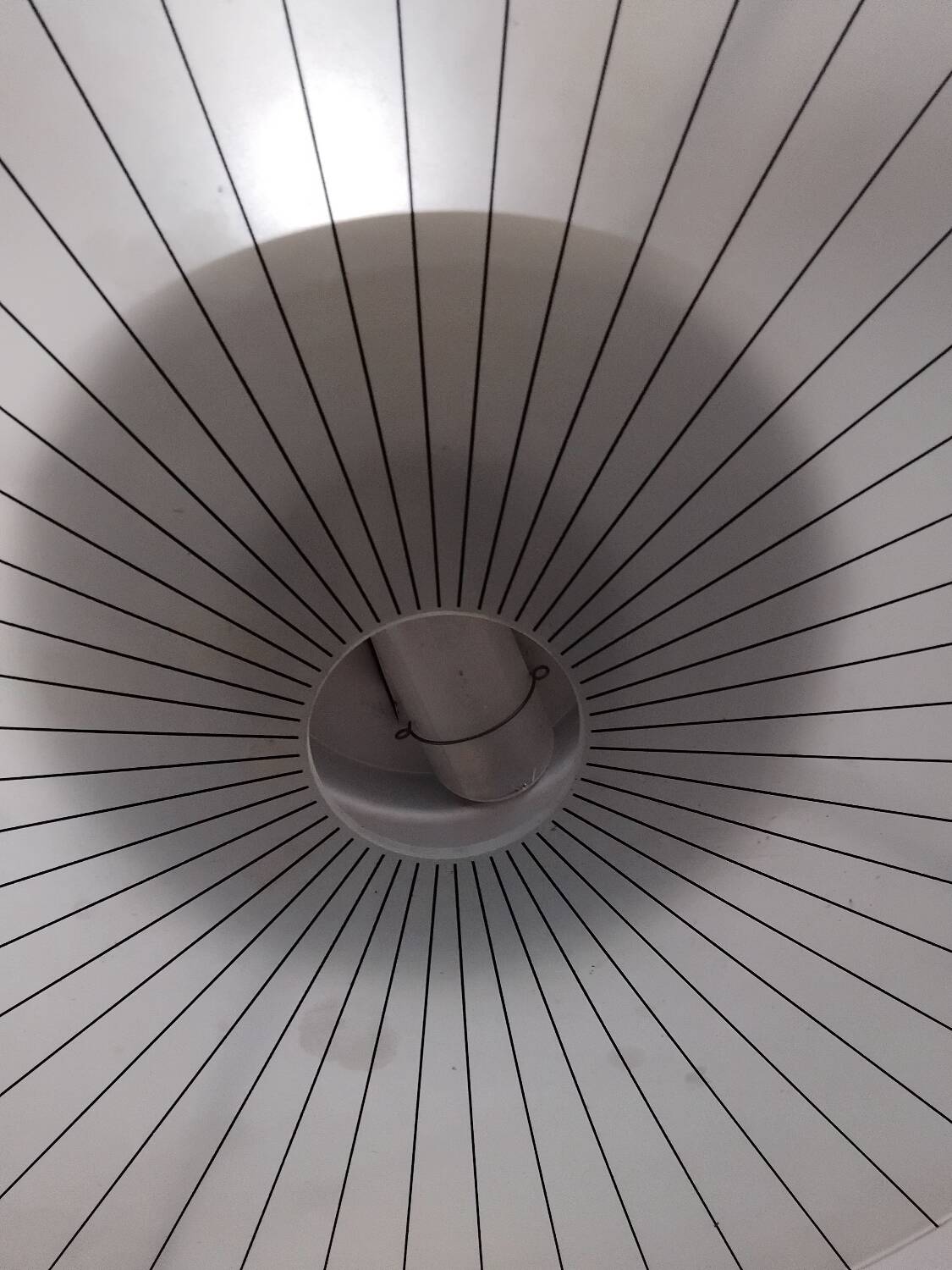 Suspension Stefano Cevoli