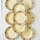 Lot de 9 assiettes plates anciennes Ste Amandinoise St Amand made in France