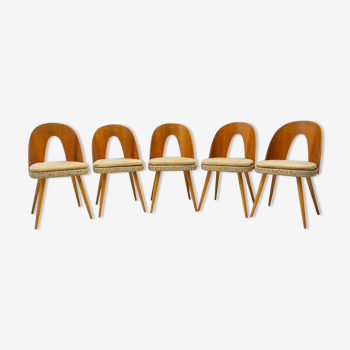 5 chaises du milieu du siècle par Antonín Šuman pour Tatra nábytok