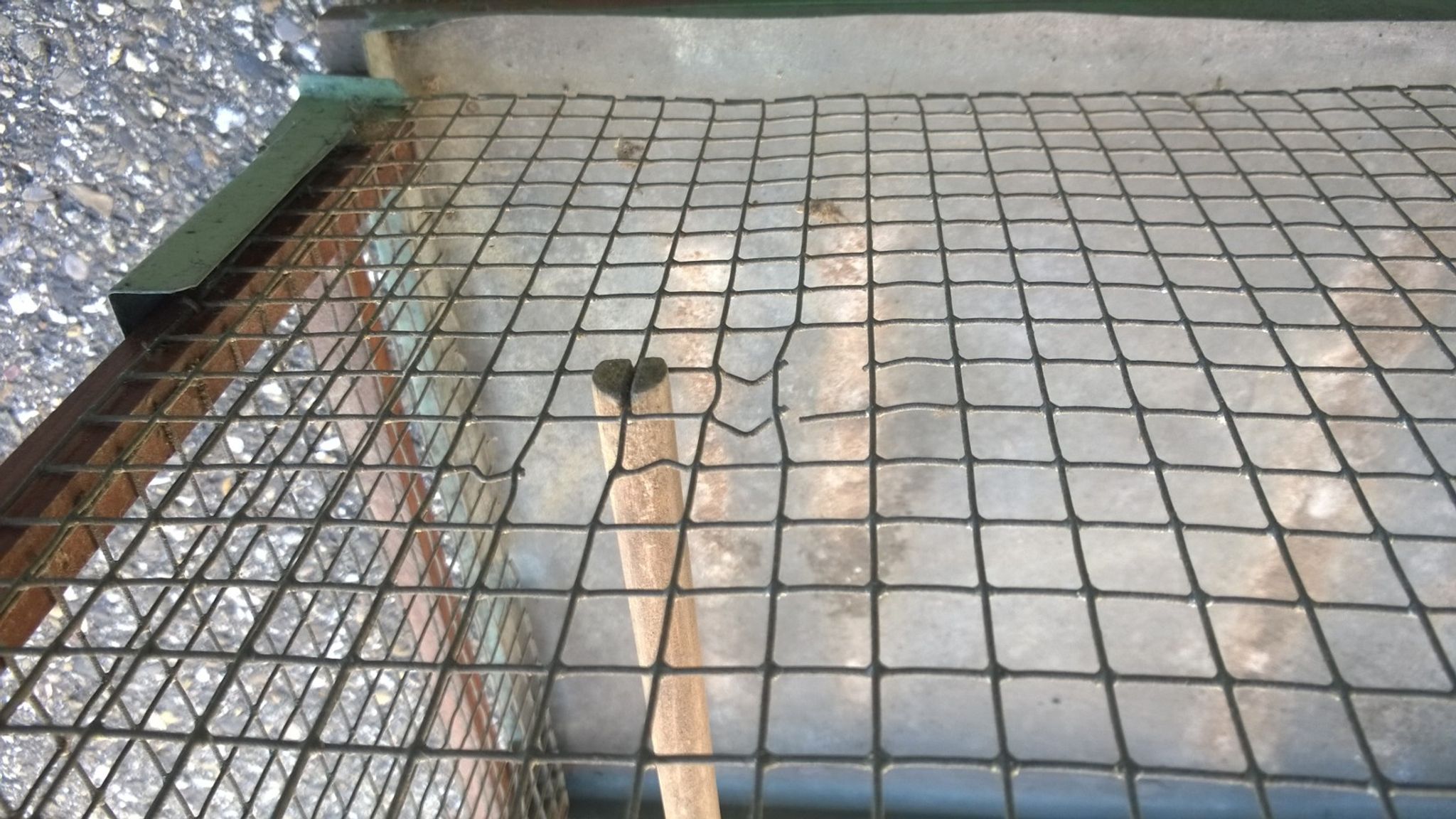 Cage à oiseaux art populaire ancien