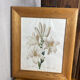 Botanical print, White Lily, P-J Redouté