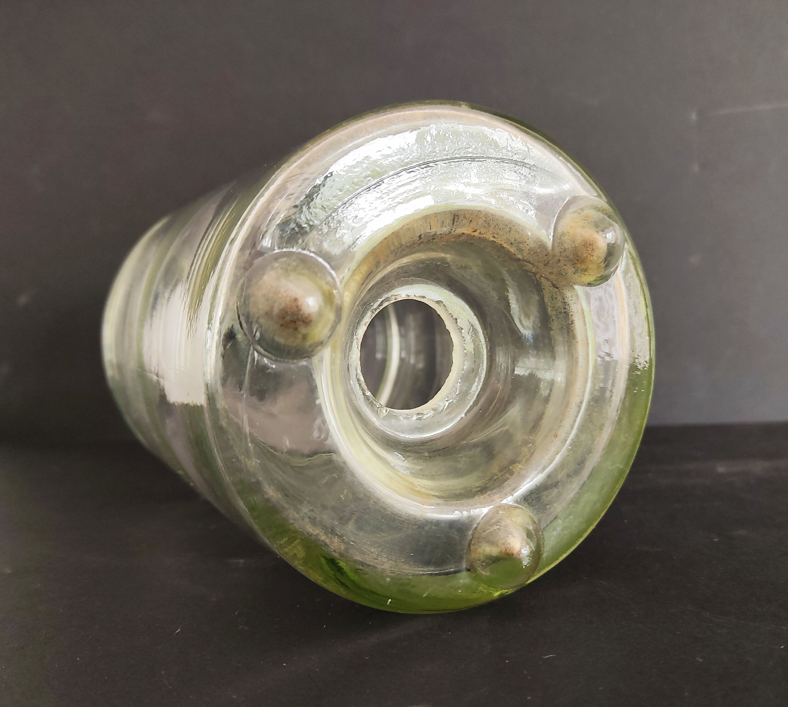 Flies and wasps gap early 20th