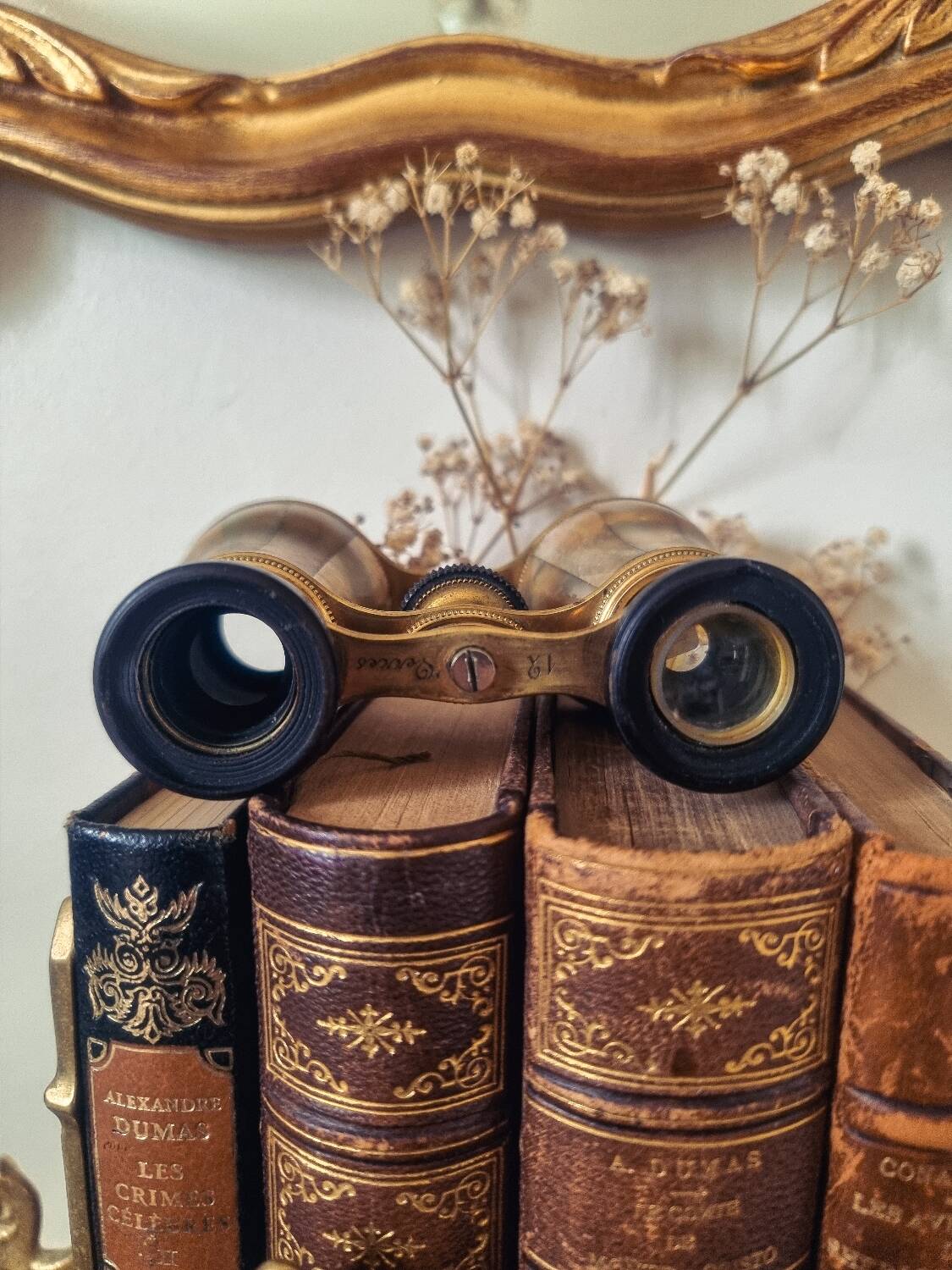 Theater binoculars in mother-of-pearl and brass, 19th century