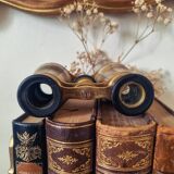 Theater binoculars in mother-of-pearl and brass, 19th century