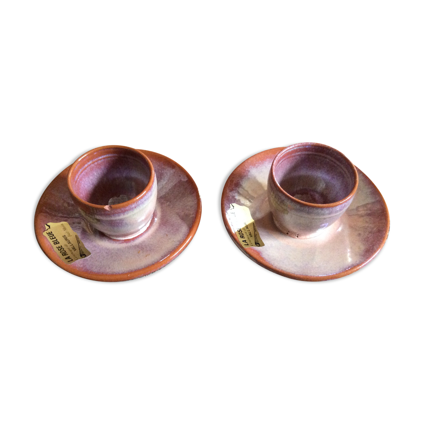 Series of 2 cockroats