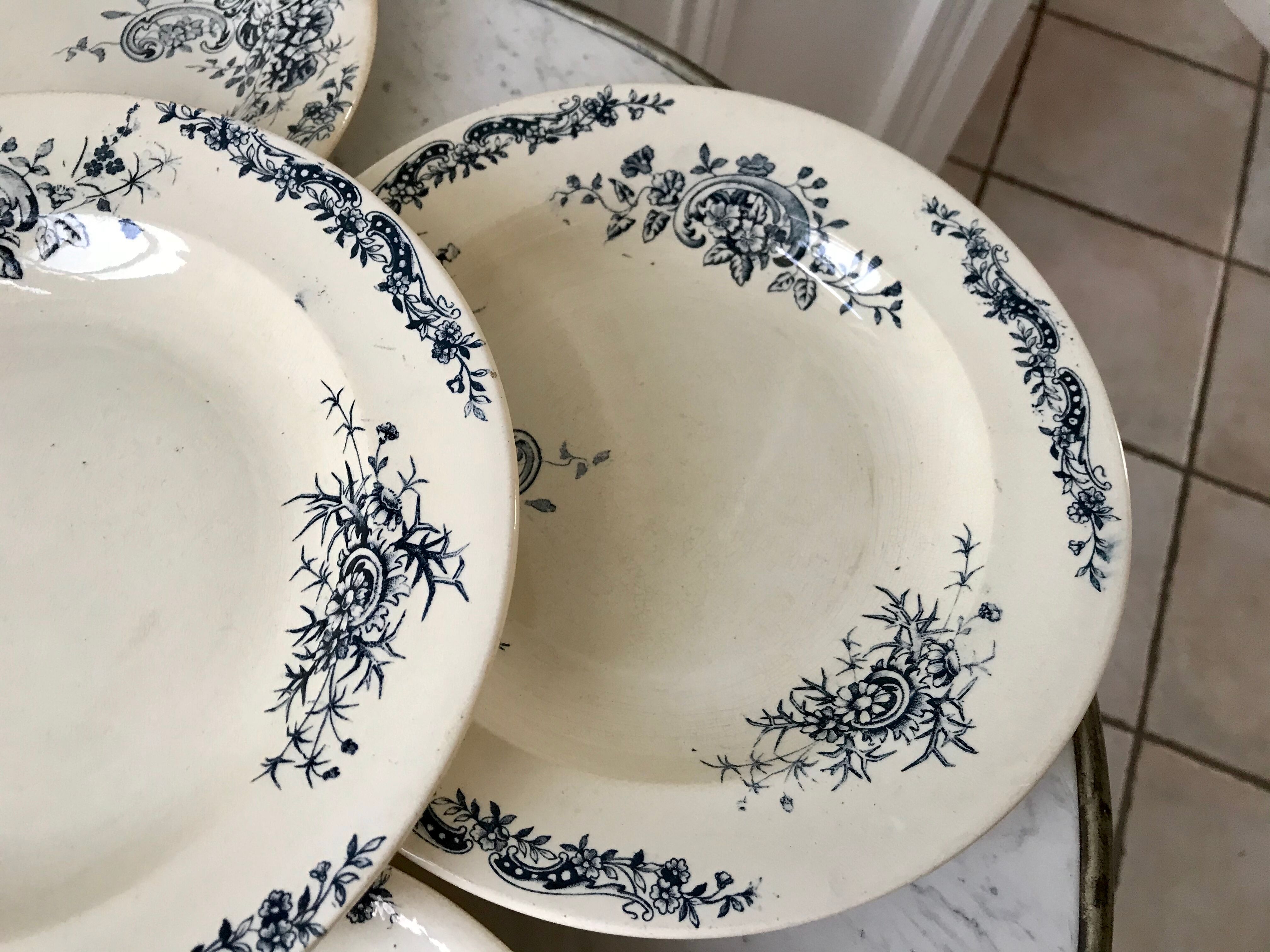 Set of 5 hollow plates Terre de Fer Salins model "Rocaille"