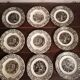 9 gien plates