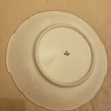 Dish
