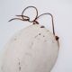 New Guinea Shell Breastplate