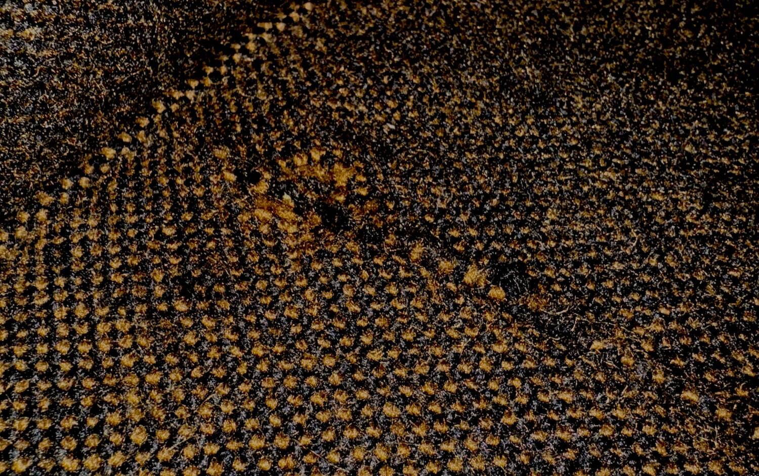 Seating Group by Florence Knoll for Knoll Sofa, 1960s