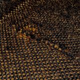 Seating Group by Florence Knoll for Knoll Sofa, 1960s