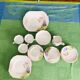 Service thé porcelaine anglaise Melba