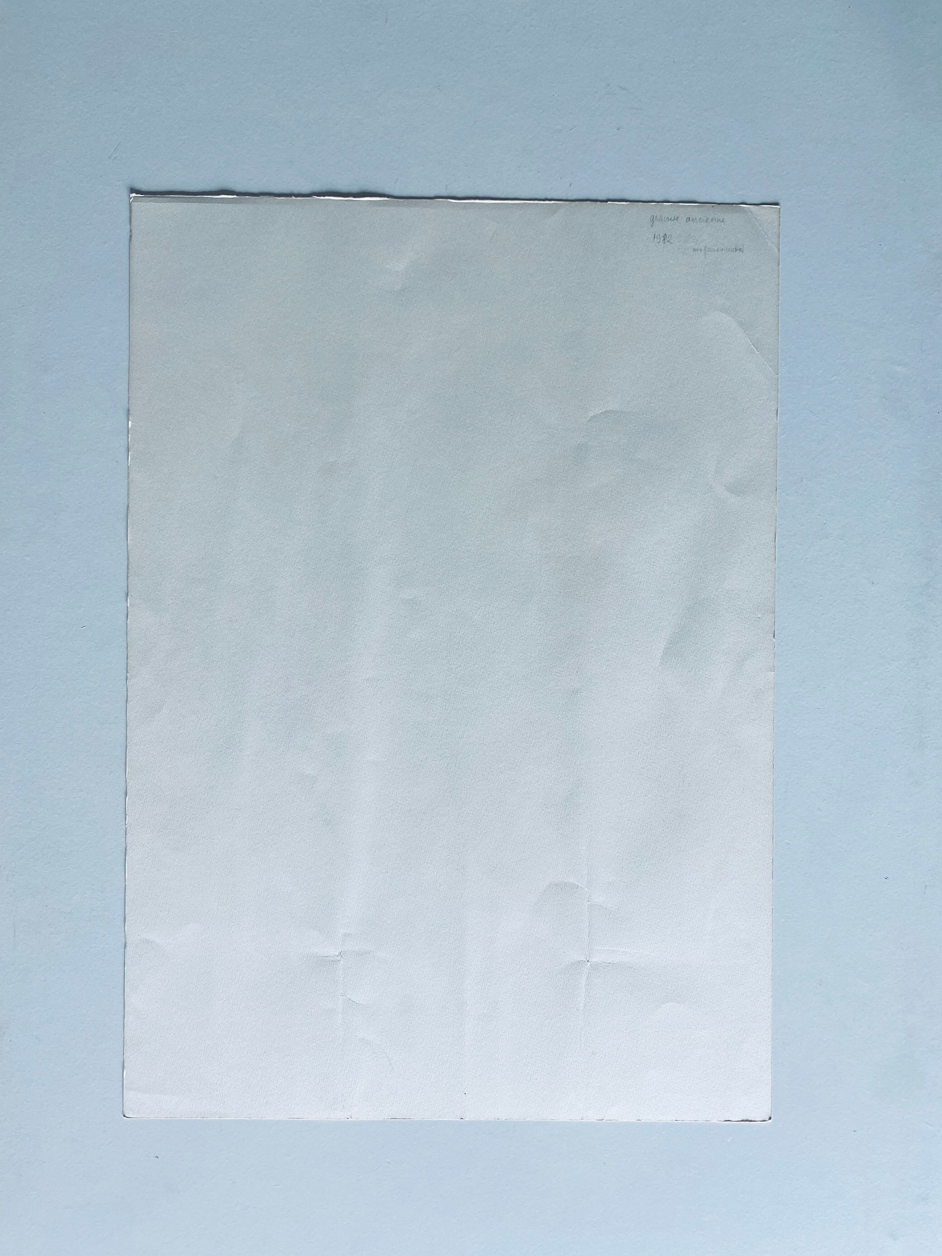 Ancient ornithological engraving, green peak