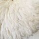 Juju hat blanc 65 cm
