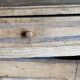Parisian sideboard two doors, two drawers in natural wood