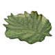 Flat leaf