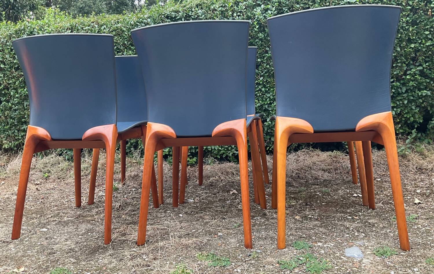 Série de 6 chaises Cassina par Josep Llusca