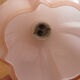 Applied art deco in white porcelain and pink opaline globe