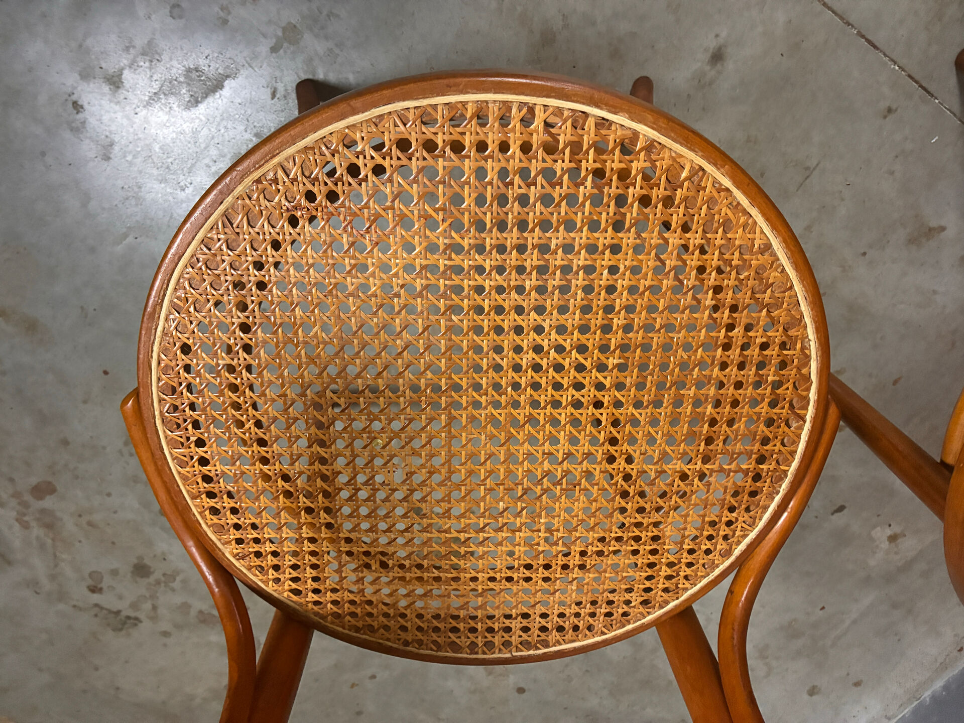 Chaises Thonet 233 Cosmos en cannage Ligna