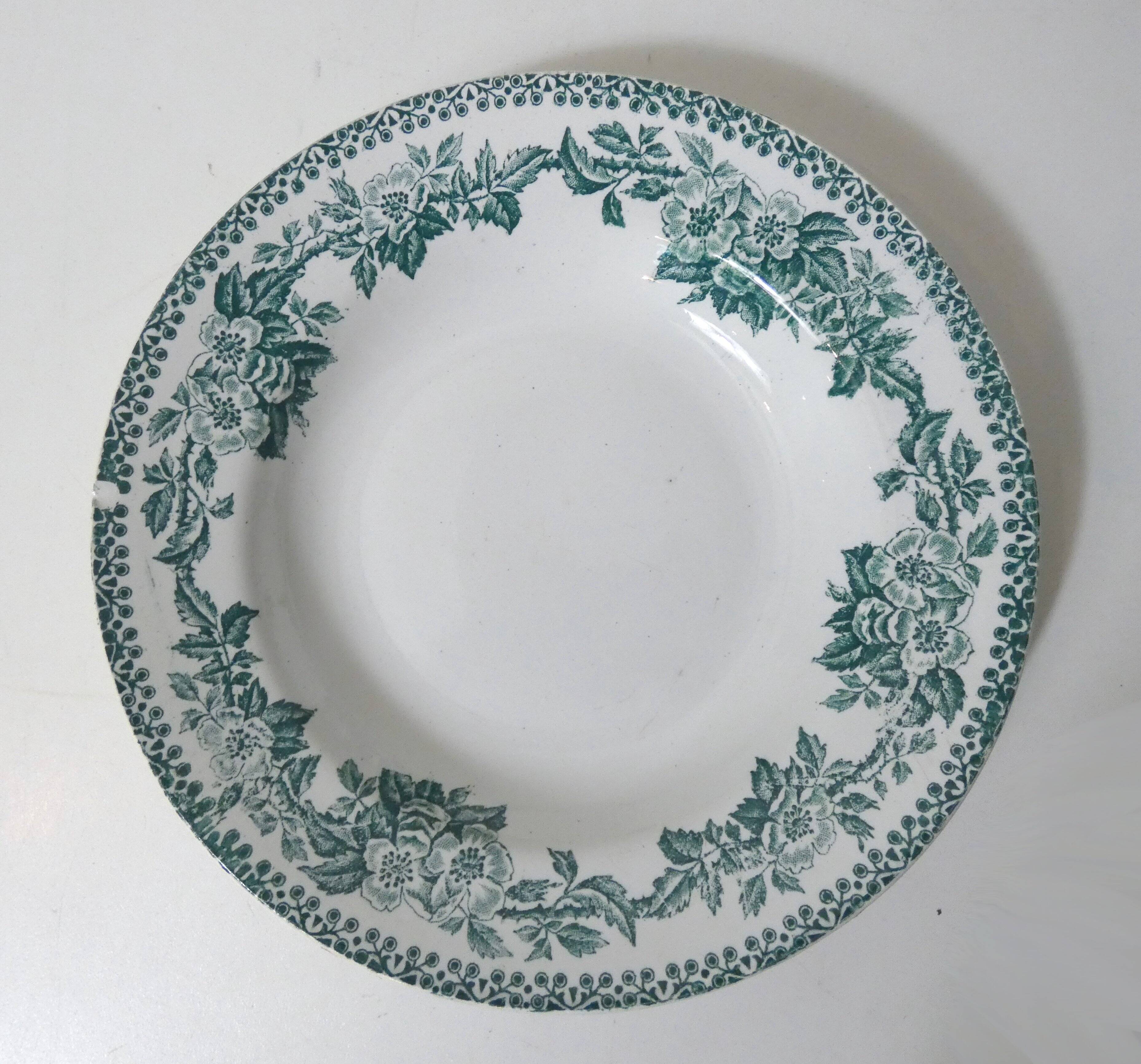 Iron earth 5 deep plates model flowers eglantines guadeloupe